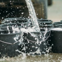 EC kingdoms to distribute 600 tanks to rural communities in Amatola initiative