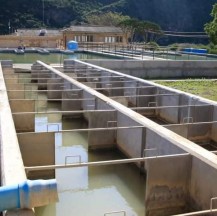 AMATOLA  WATER BOARD INTERVENTION PERFORMANCE IN MAKANA MUNICIPALITY GETS THUMBS UP